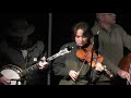 4K Full Cord Bluegrass: Thunderclouds of Love (Yellow Moon Yurt: Oct 3, 2020)