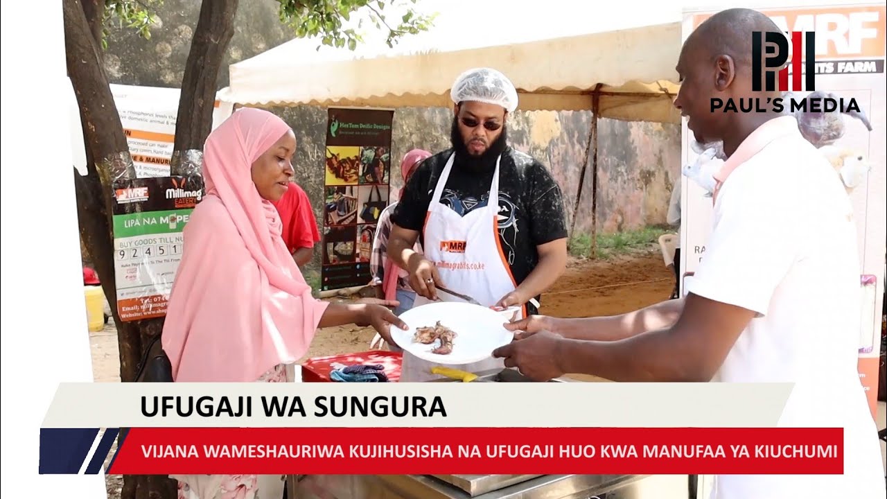 FAIDA ZA UFUGAJI WA SUNGURA mombasa YouTube faida-za-ufugaji-wa-sungura-mombasa-youtube