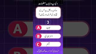 Urdu Objective Question And Answer 🤲🙏🫶💚🕋 #quiz #commonsenseriddles #generalknowledge #islamiquiz