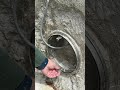 **This $50 Pool Fix Saved Me THOUSANDS 💸**