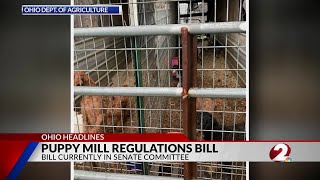 Puppy mill regulations bill