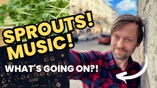 Why I ordered BROCCOLI SPROUT SEEDS? Short update!