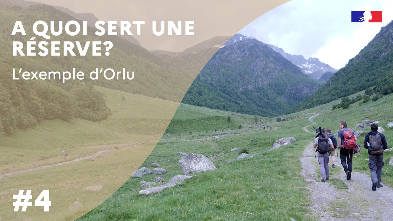 A quoi sert une réserve? L'exemple d'Orlu