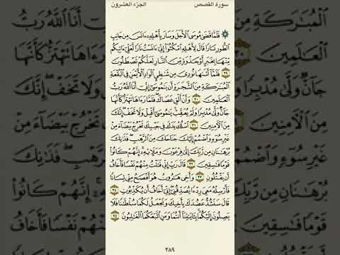 سورة القصص من الآية ٢٩ إلى الآية ٣٥بصوت القارئ ماهر المعيقلي