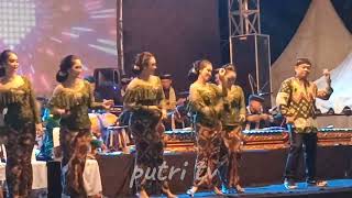 Niken Salindrics  Sigar Mayangkara Cdanursari Terbaru 2025