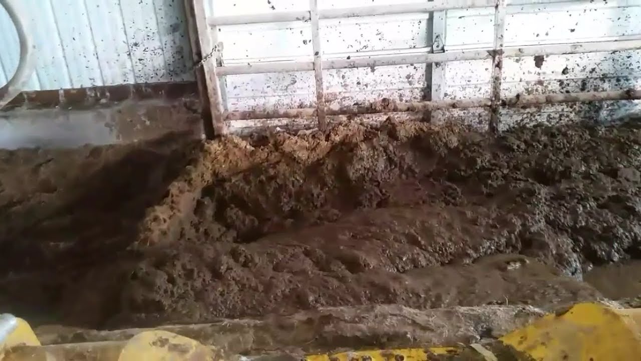 Cleaning barn YouTube