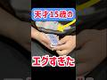 クリームパンハンドとは?#マジック #マジシャン #手品 #トランプ #トランプマジック