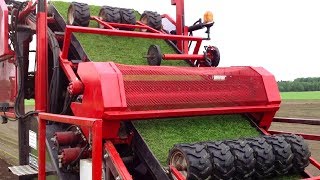 THIS IS HOW SOCCER GRASS IS MADE