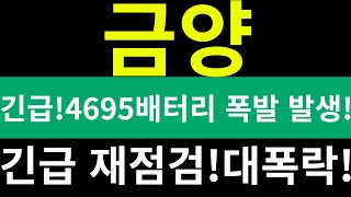 [금양]긴급! 4695배터리 폭발 발생! 긴급 재점검! 대폭락! #2차전지#배터리#테슬라#신재생#4695#금양#주식#엔솔#LG에너지솔루션#폭발#발생#긴급#재점검#대폭락#전고체