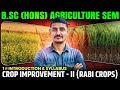 crop improvement rabi crops 6 semester Introduction & Syllabus | crop-improvement-ii (rabi crops)