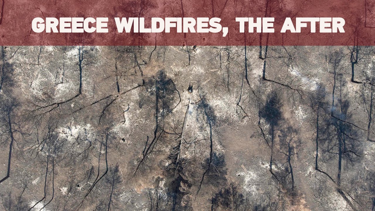 GREECE WILDFIRES: Evia island residents try to rebuild after August fires