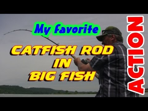 Kayak Catfishing: Hobie Outback Kayak Review and Walkthrough from YouTube · High Definition · Duration: 16 minutes 21 seconds · 1,000+ views · uploaded on 11/2/2017 · uploaded by Kayak Catfish Kayak Catfishing: Hobie Outback Kayak Review and Walkthrough from YouTube · High Definition · Duration: 16 minutes 21 seconds · 1,000+ views · uploaded on 11/2/2017 · uploaded by Kayak Catfish