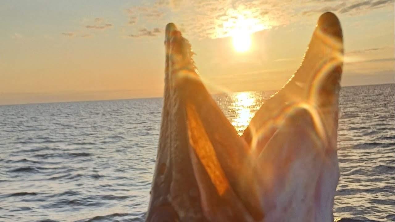 Фильм 18. Загадки Ладожского озера. Барантида.