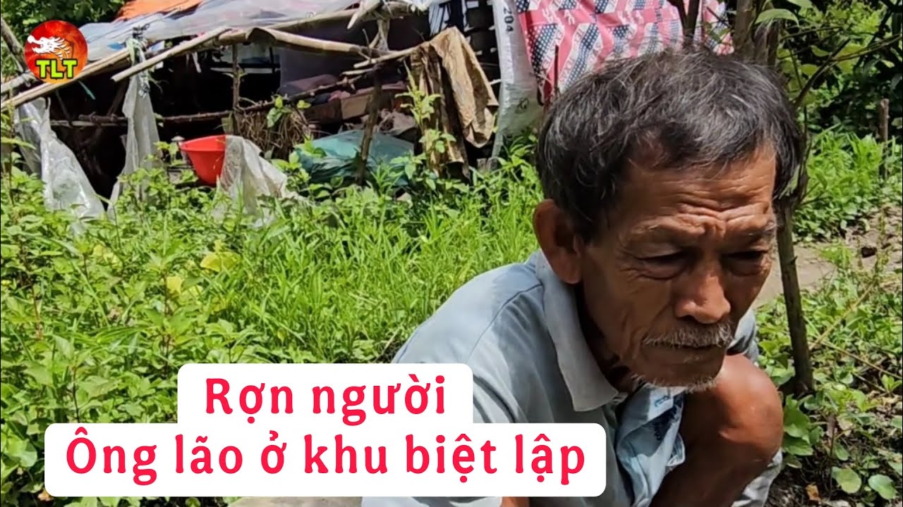 Nể phục Ông lão ở khu rừng cây biệt lập xem rợn tóc gáy