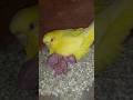 How to use Community Moderation Settings in YouTube Studio Mobile:🚀🚀🚀