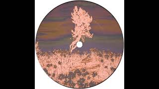 Boulderhead - World Building [SITU Records]