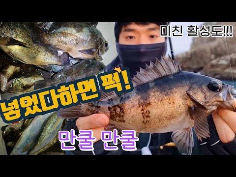 물반 볼락반? 보기드문 환상적인 활성도에 소름이 쫙..! 이게 볼락 낚시지~ (With. 거제전갱이TV)