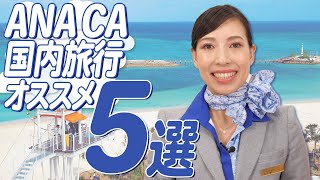 【ANA国内支店おすすめ】家族みんなで楽しめるファミリートリップ5選！