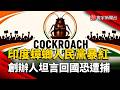 5天狂吸2300萬粉！印度「蟑螂人民黨」爆紅  創辦人海外受訪：回國恐被捕｜#寰宇新聞 @globalnewstw