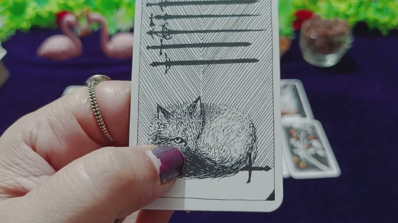 ನಿಮ್ಮ ಪರ್ಸನ್ ಸದ್ಯದ ಪರಿಸ್ಥಿತಿ #lovereading #tarot