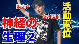 超絶わかりやすい！神経の生理②(静止膜電位と活動電位) 【解剖生理学23】