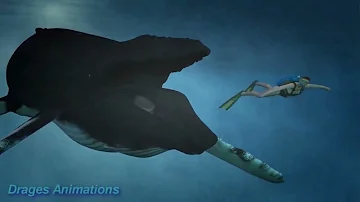 Big Mammal  Little Mammal   Whale vs Girl Vore Animation