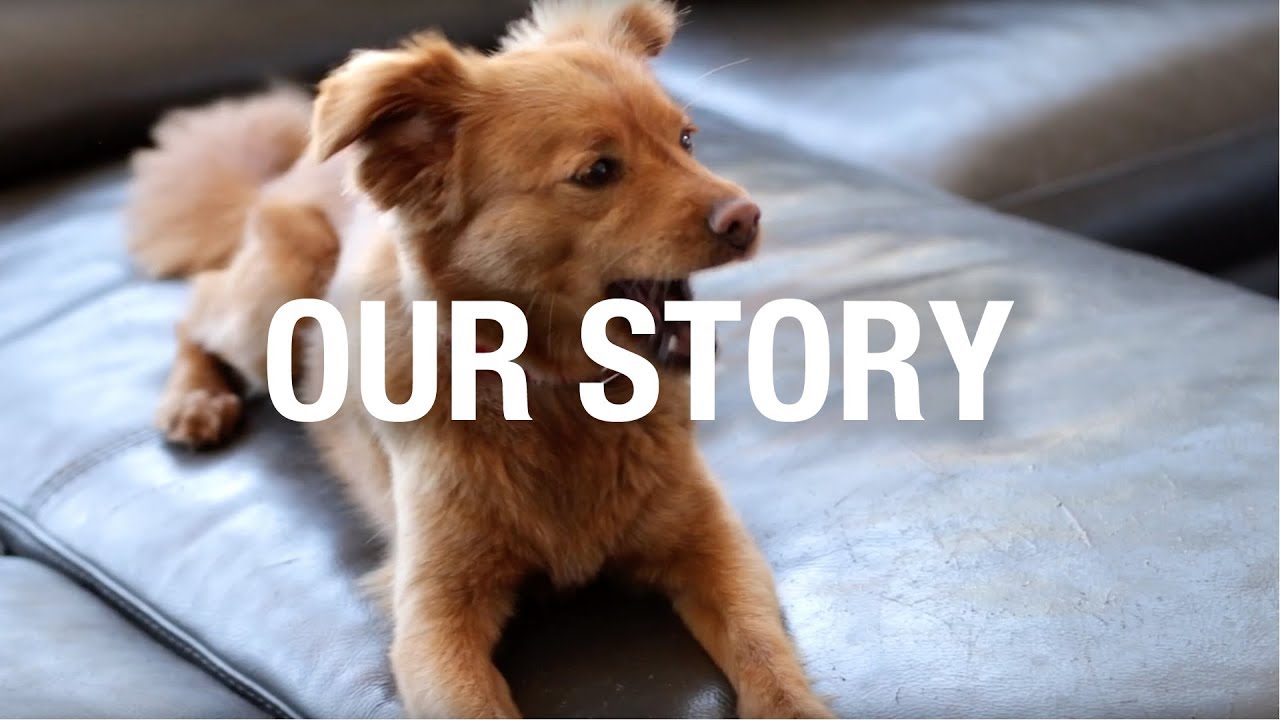 Naturally Urban Pet Food Delivery YouTube Naturally Urban Pet Food Delivery YouTube