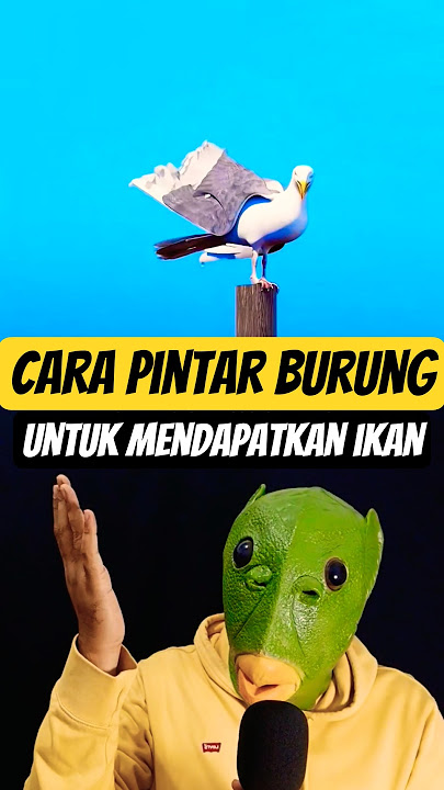 burung ini 'BERSKI💩' di danau untuk mendapatkan ikan 🤭 #zarooratrishta
