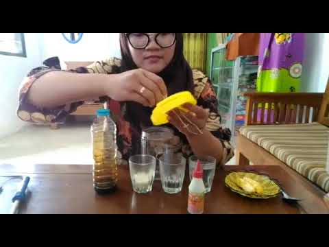 Perangkap lalat sederhana (dari botol bekas). 