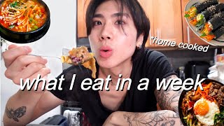 what I eat in a *busy* week in NYC (easy korean home cooked  recipes)
