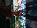 # funny video 😆😃