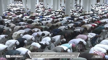 صلاة المغرب من المسجد النبوي الشريف بـ المدينة المنورة - تلاوة الشيخ د. محمد برهجي