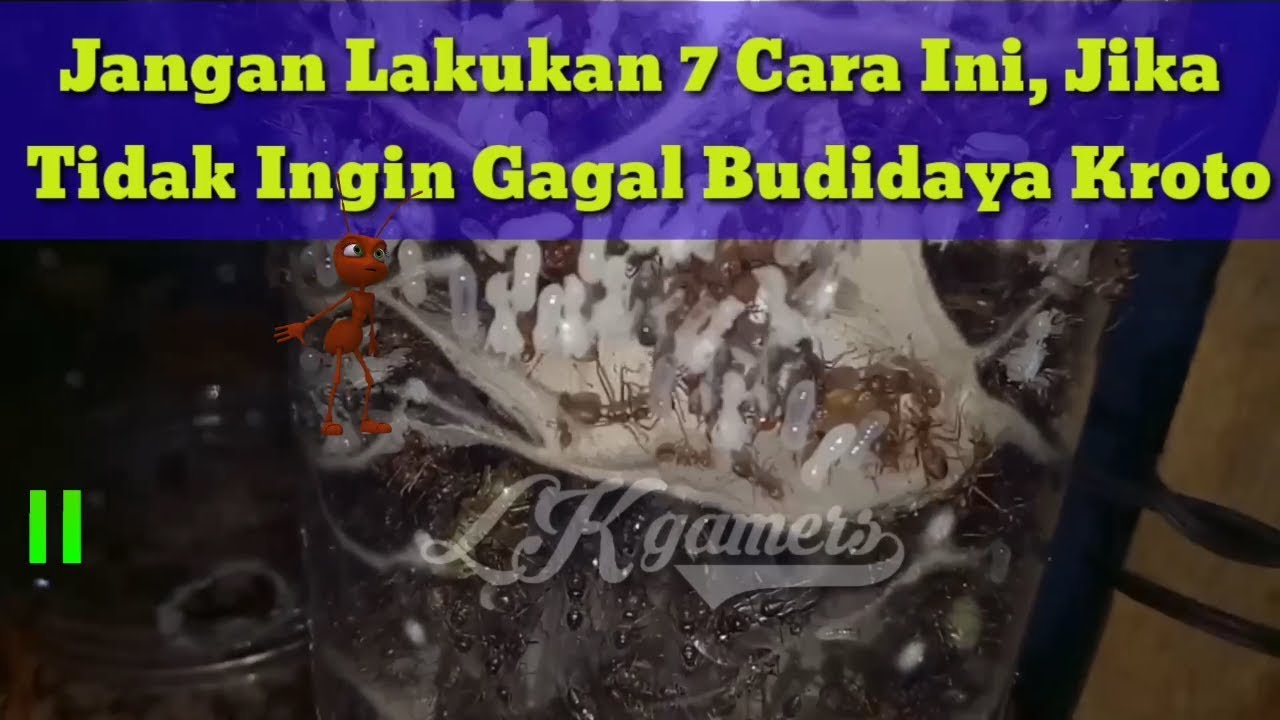 BUDIDAYA KROTO - Jangan lakukan 7 cara ini, jika tidak ingin gagal