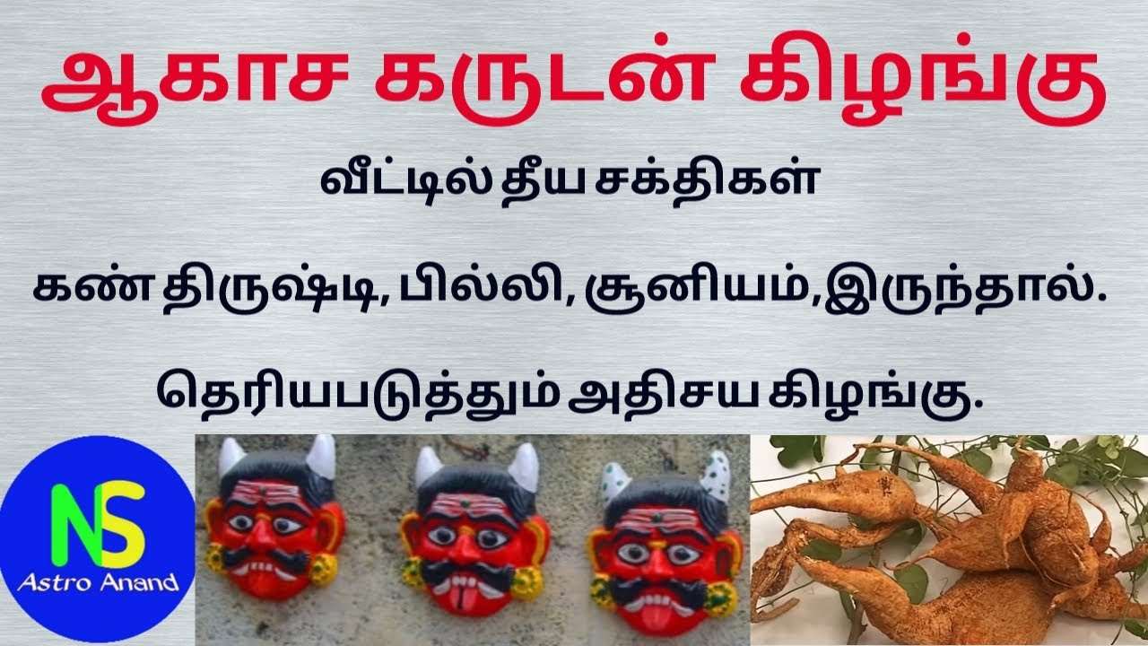 Mun jenmam in tamil. நீங்கள் எத்தனை பிறவி ...