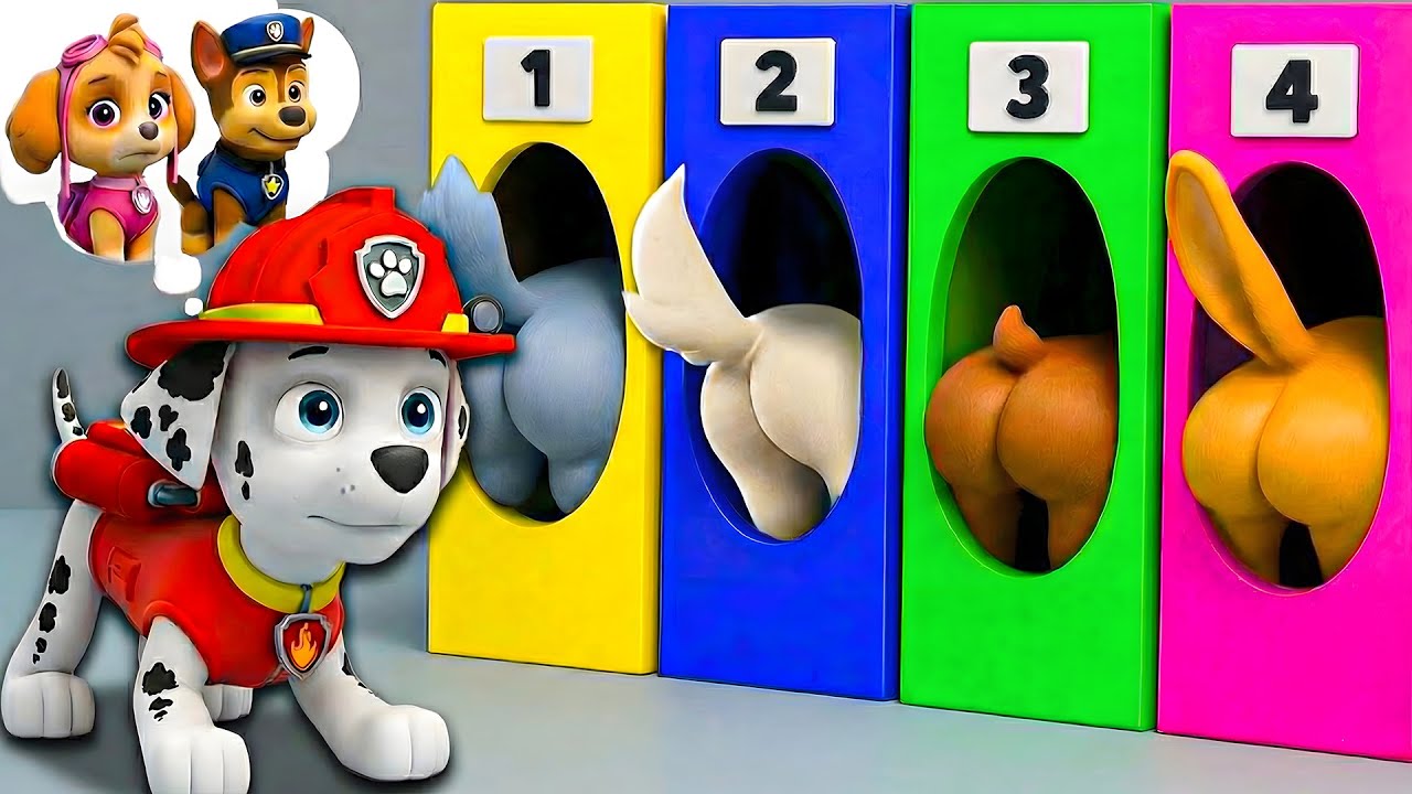 ¡La decisión de Marshall! ¿Dónde está Chase & Skye? Por favor vuelve conmigo - PAw PAtrol en Español