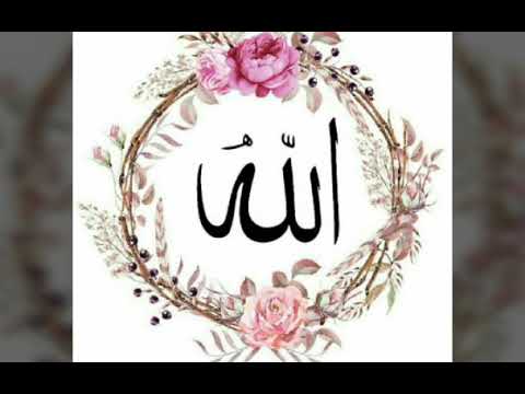 انشودة فتاح يا فتاح المنشد ابو راتب