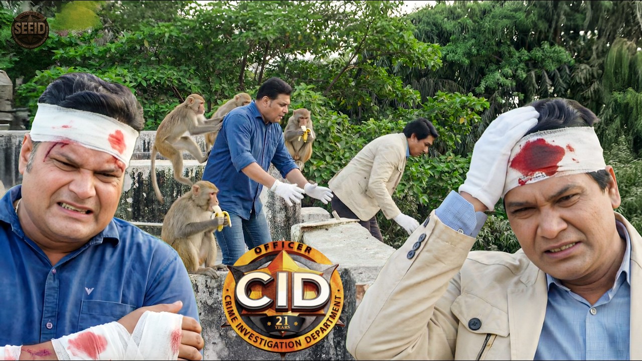 सबूत खोजते Daya Abhijeet को बंदरों ने पीछे से मारा धक्का || CID || Latest Episode