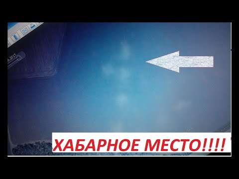 Хабарное место!!! Куча монет после перепашки.