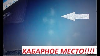 Хабарное место!!! Куча монет после перепашки.