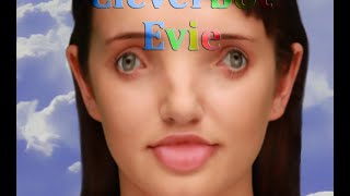The Not So Intelligent Bot (Cleverbot Evie)