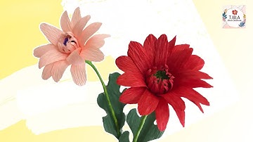 Cách làm hoa Đồng Tiền từ giấy nhún | How to make Gerbera Paper Flower