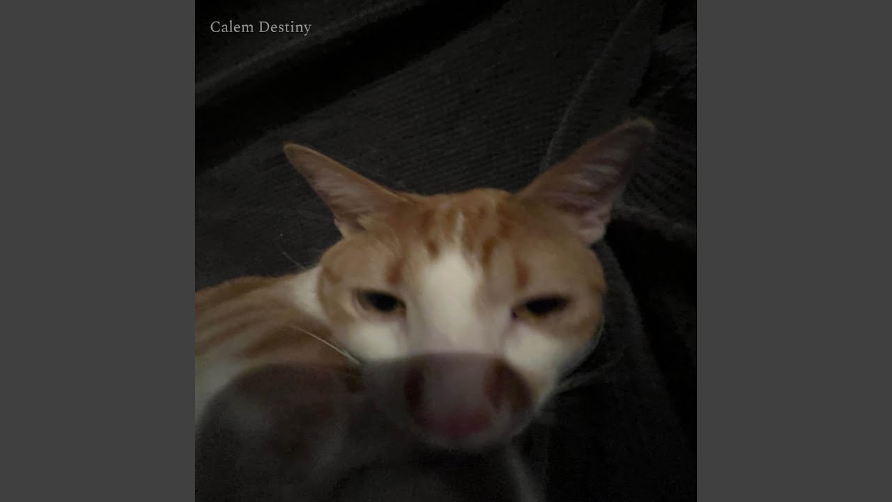 generational loneliness