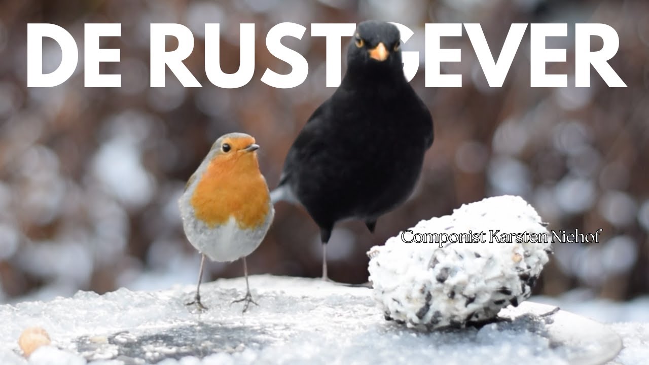 Rustgevende instrumentale muziek van Karsten Niehof. Kalmeer je geest en ontspan met melodieën. 🎶😌