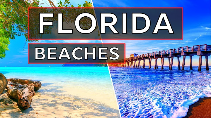 Best places to live in florida for families near the beach