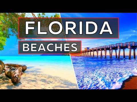 Video: The 8 Best Florida Family Vacation Ideas of 2022