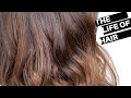 How To Covering Gray Hair And Balayage At The Same Time