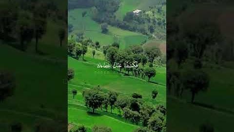 لقد كنت في غفلة من هذا 😭 #صوت خاشع 💟 حالات_واتساب #آيات #قرءان_كريم #السعودية #مكه #العرق #اليمن