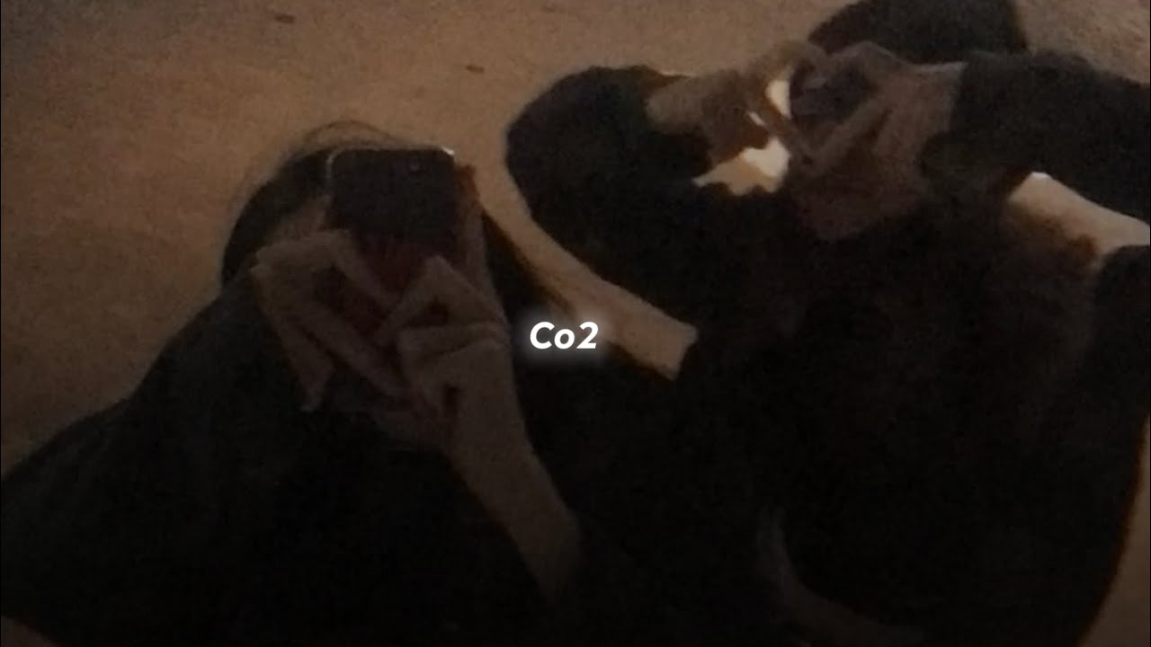 Prateek Kuhad - Co2 (slowed+reverb) Prateek Kuhad - Co2 (slowed+reverb)