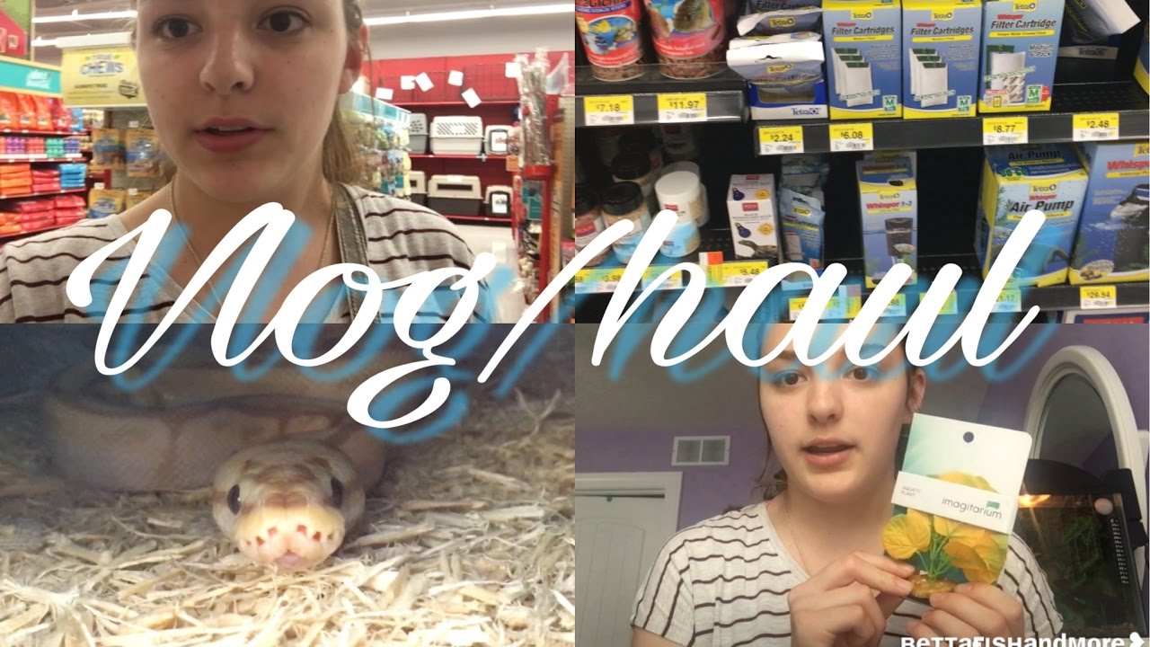 Petco/Walmart vlog & haul! YouTube