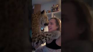 Go t leopard for PET’s